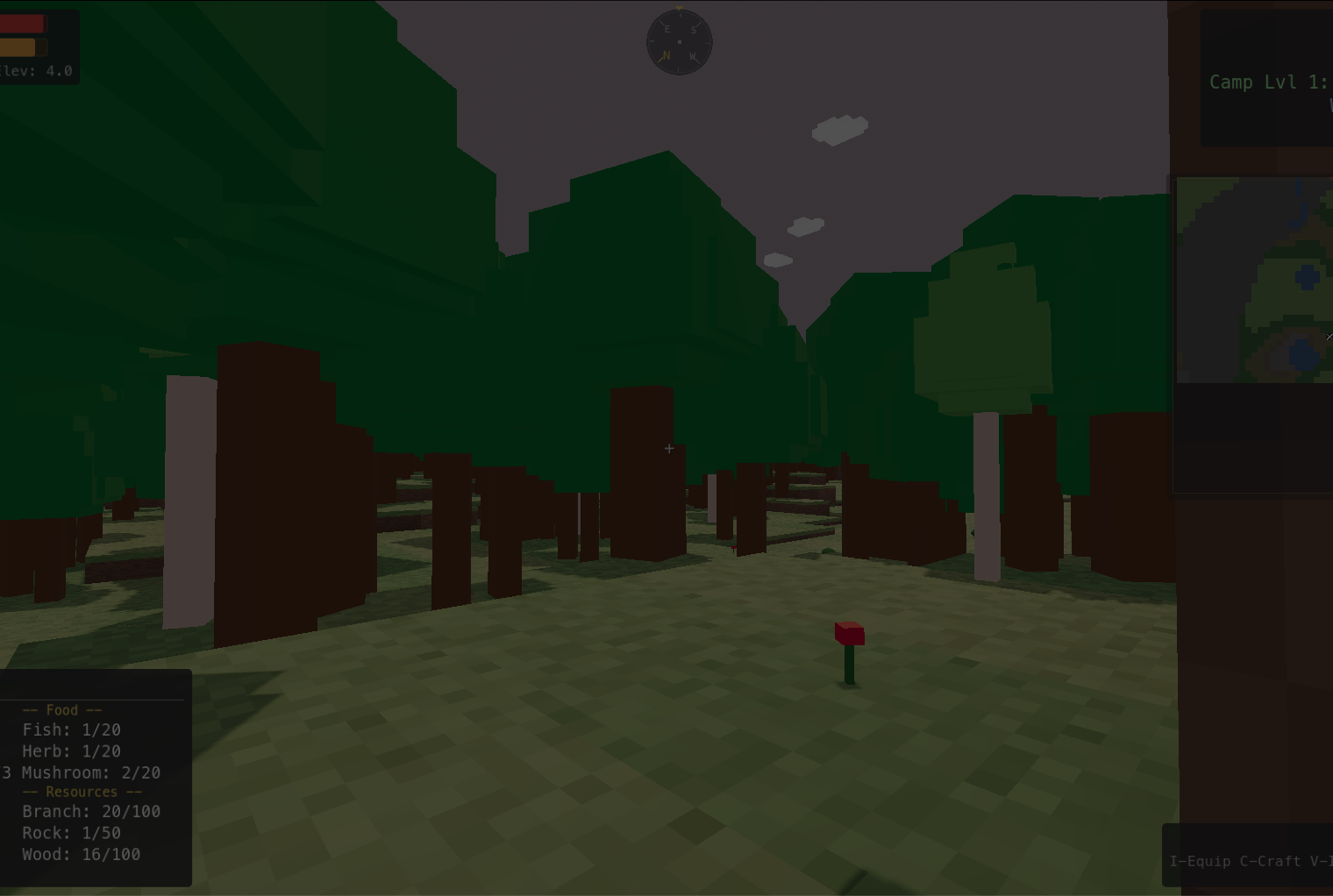 Dense forest with towering trees and a mushroom on the ground